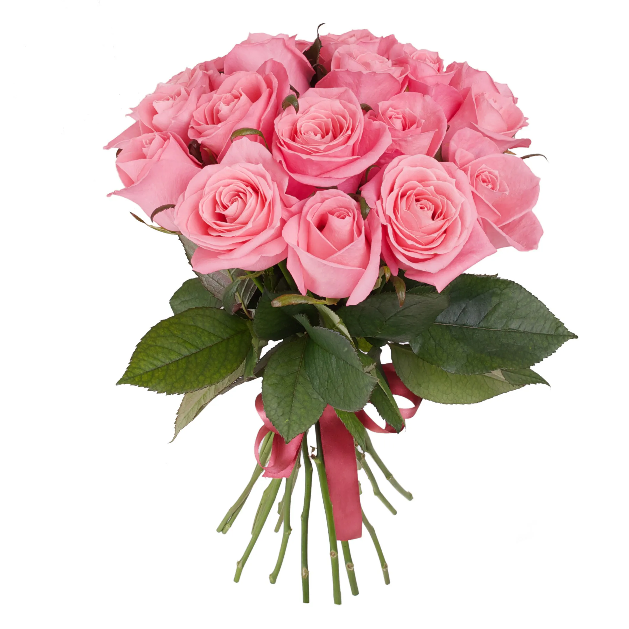 Bouquet of roses - 15 pink roses