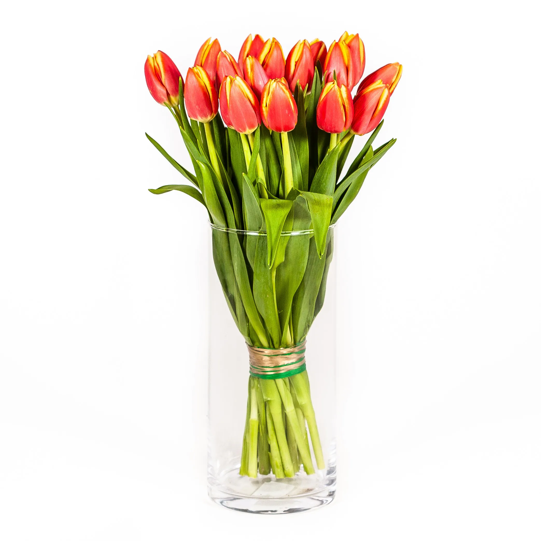 Тюльпаны — изображение 2