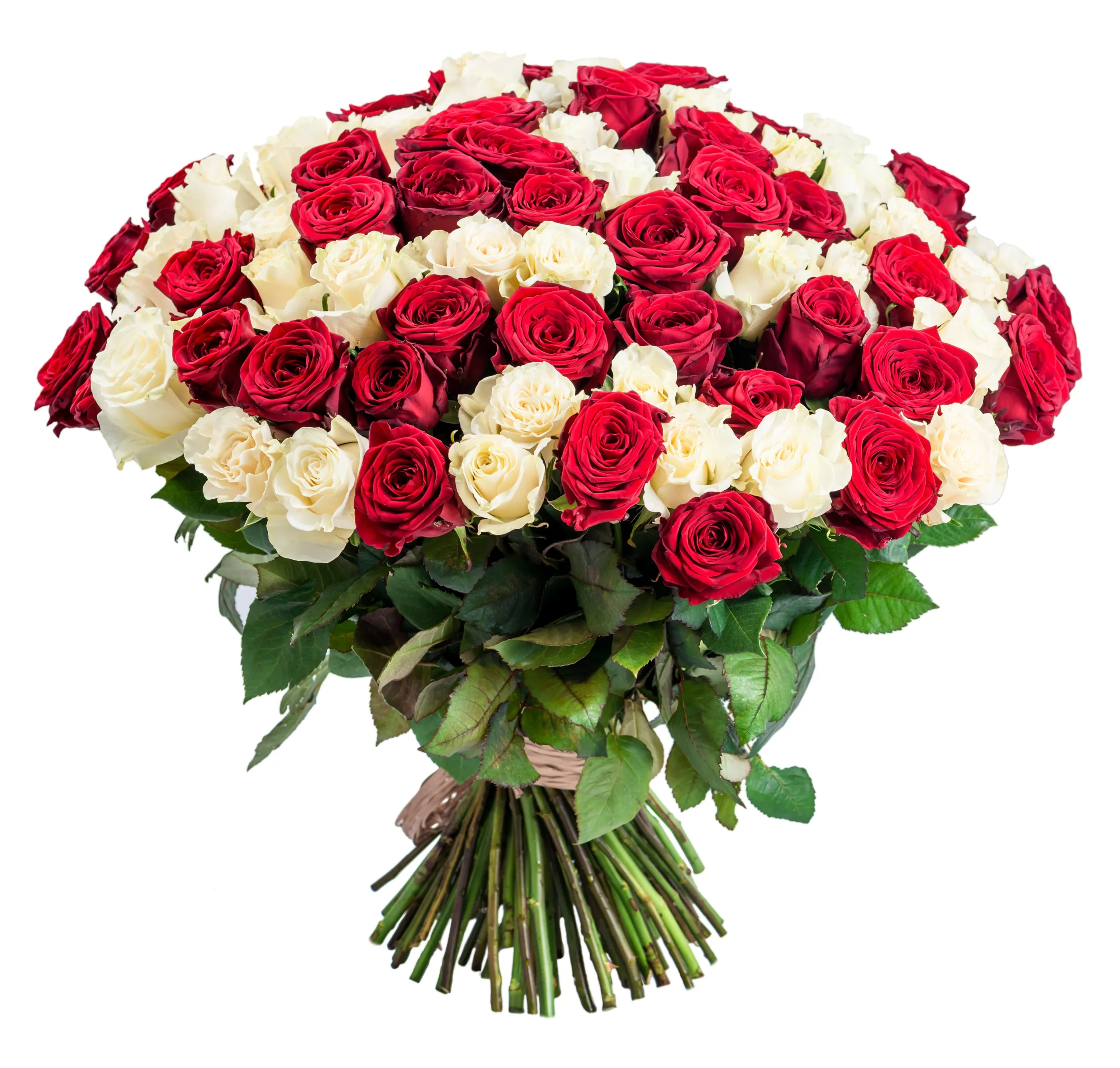 Bouquet of roses - 101 red and white roses