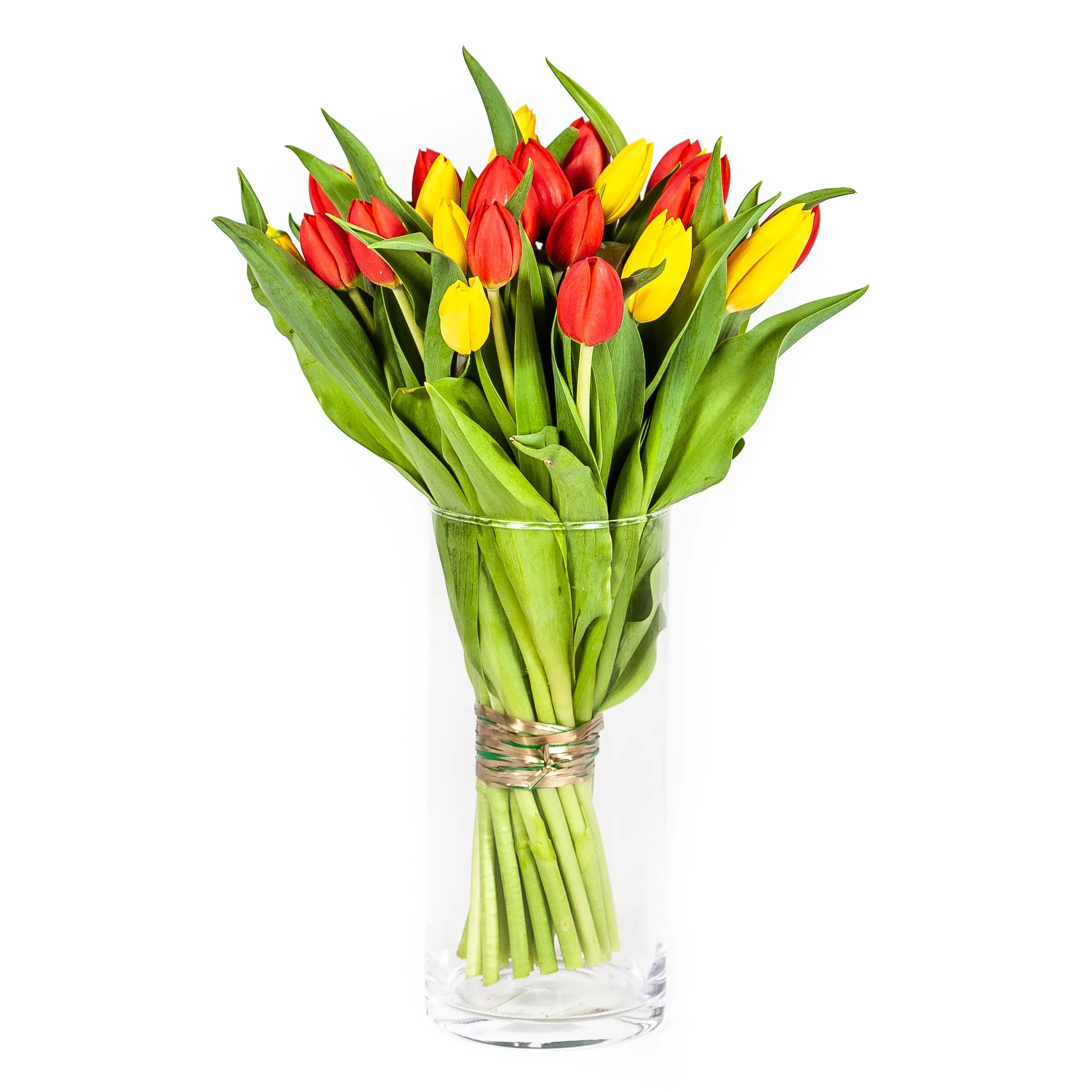 Тюльпаны — изображение 3