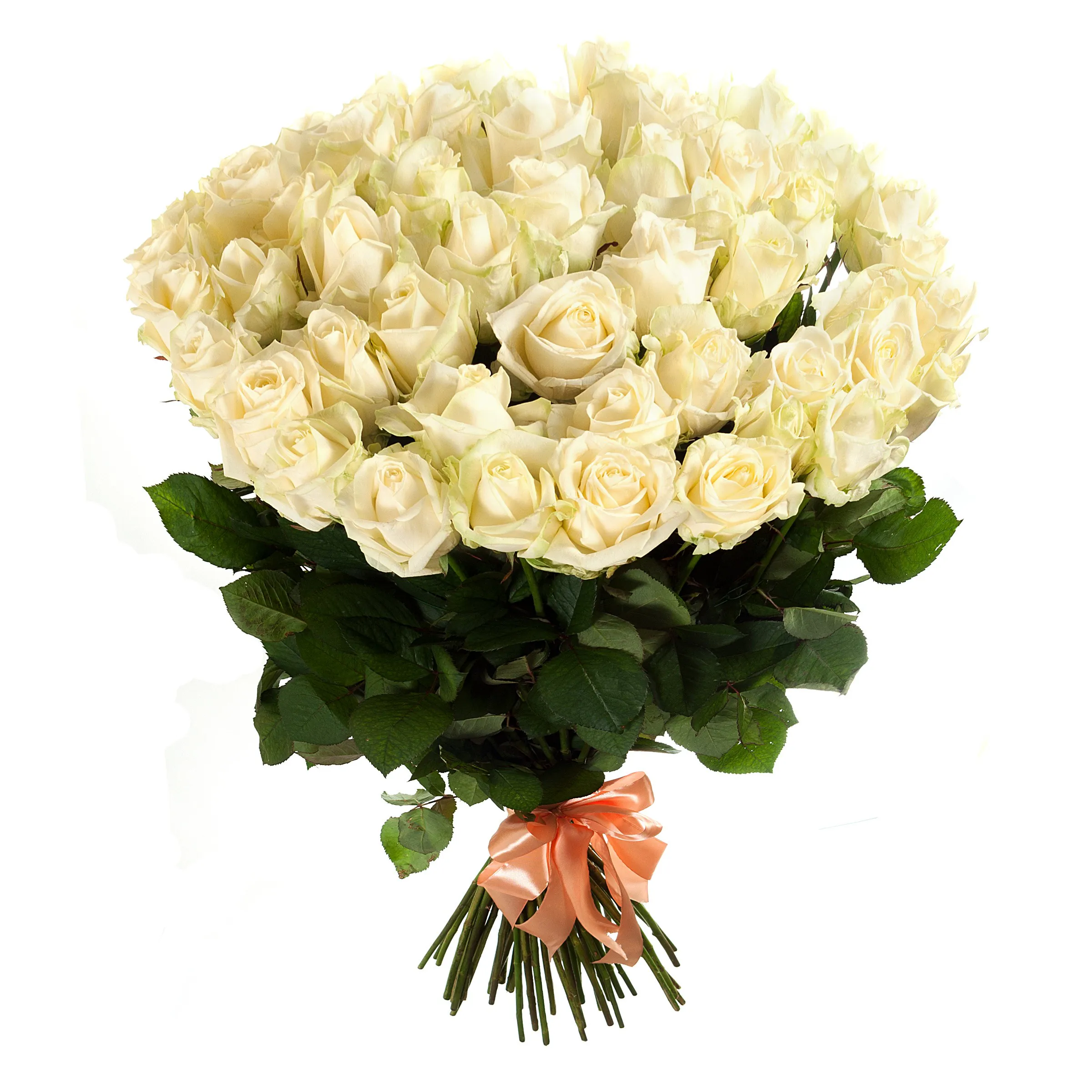 Bouquet of roses - 65 white roses