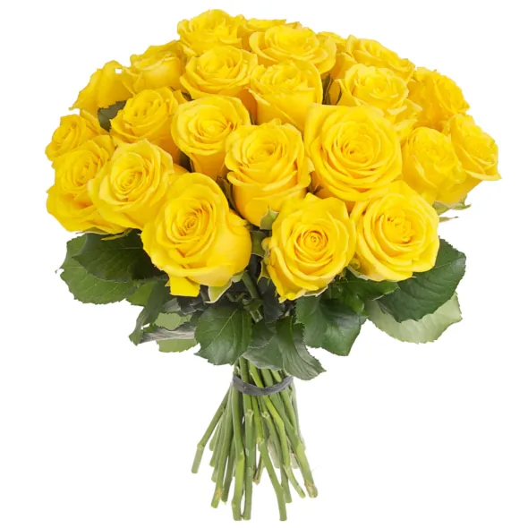 Bouquet of roses - 25 yellow roses